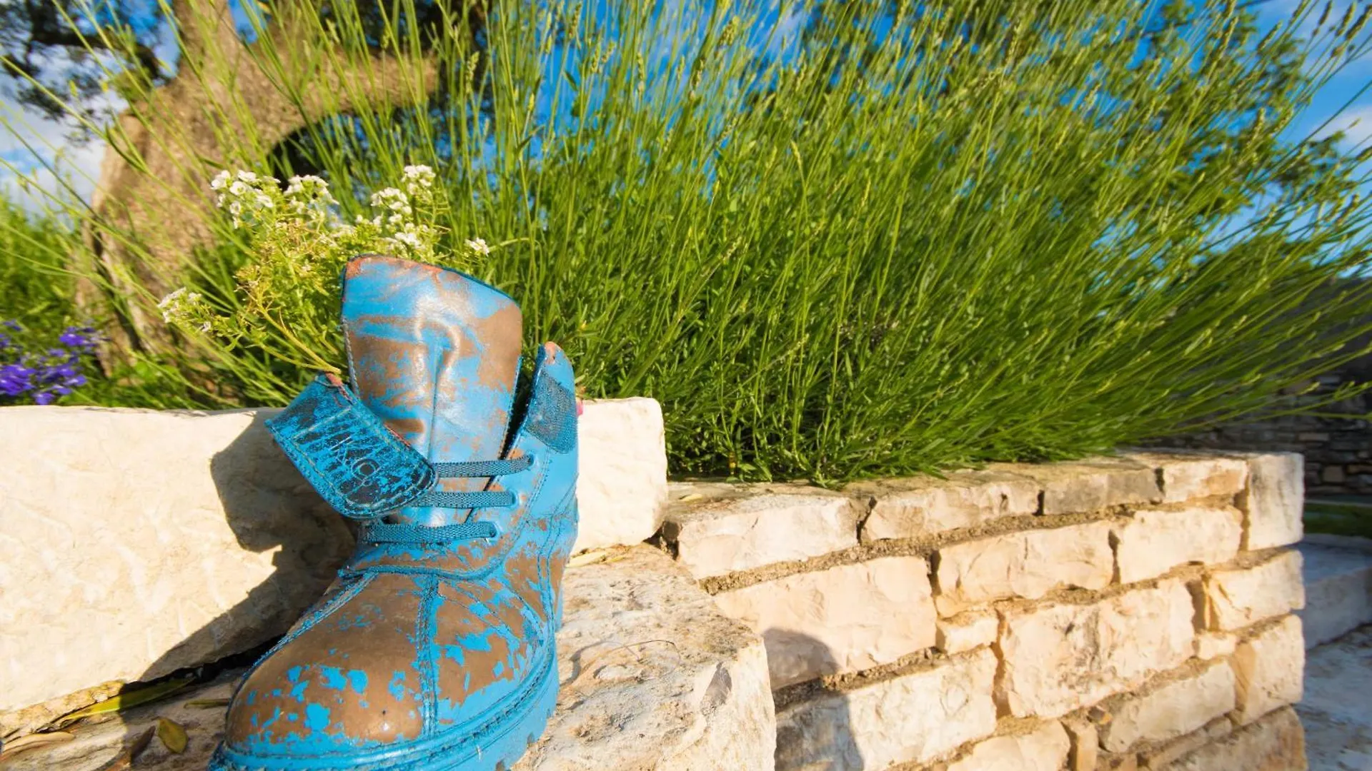 Villa Irena, A Romantic Villa Nestled In The Heart Of Istria Pulici Croatia